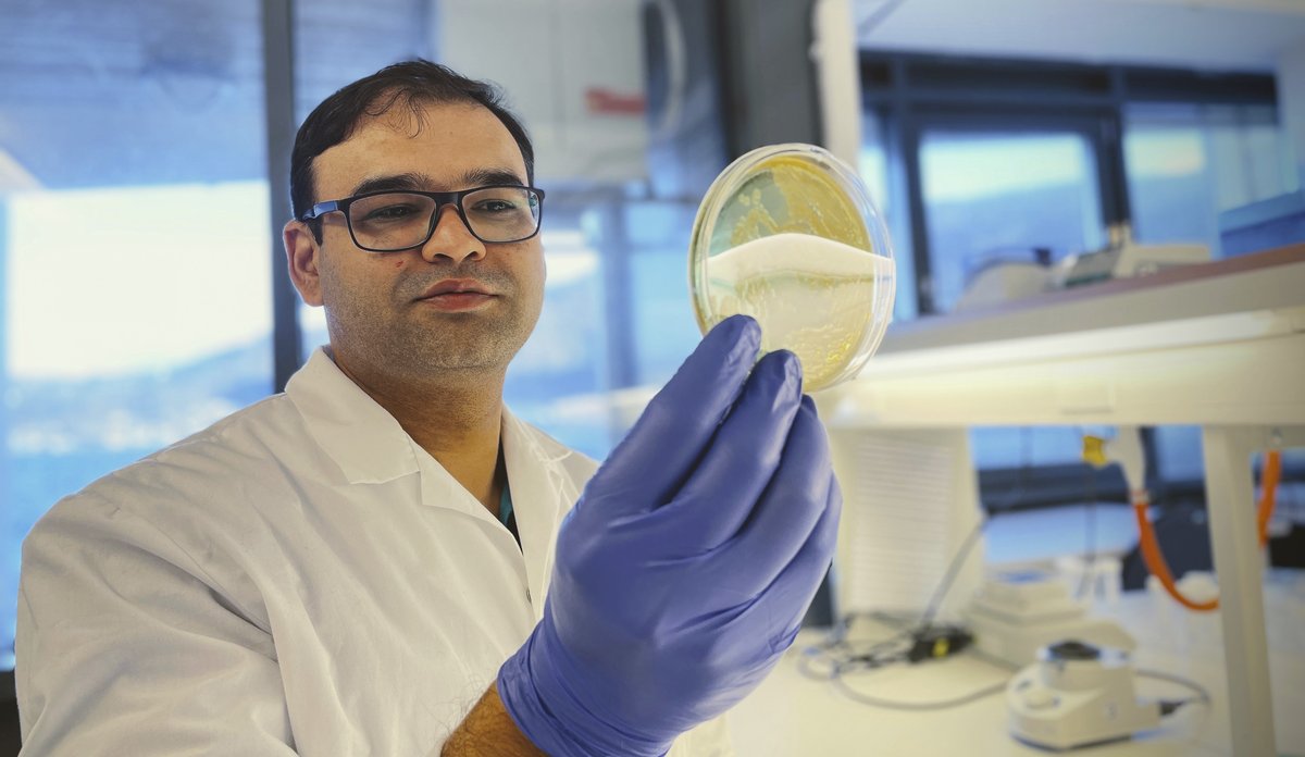 
A scientist in a lab, holding a petridish with samples.