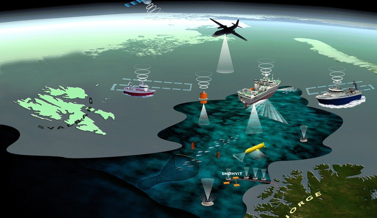 
marin økosystemakustikk bilde