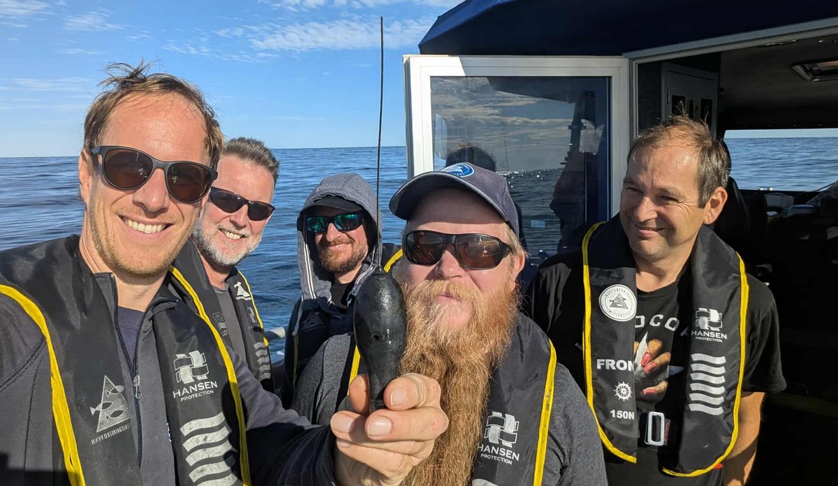 foto av fem menn i en båt som holder fram en dings