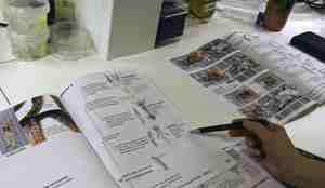 Et papirhefte hvor ulike kjennetegn på blekkspruter listes opp.