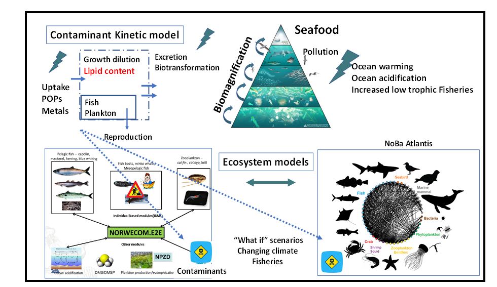 Figur som viser modell for utvikling av prosjektet