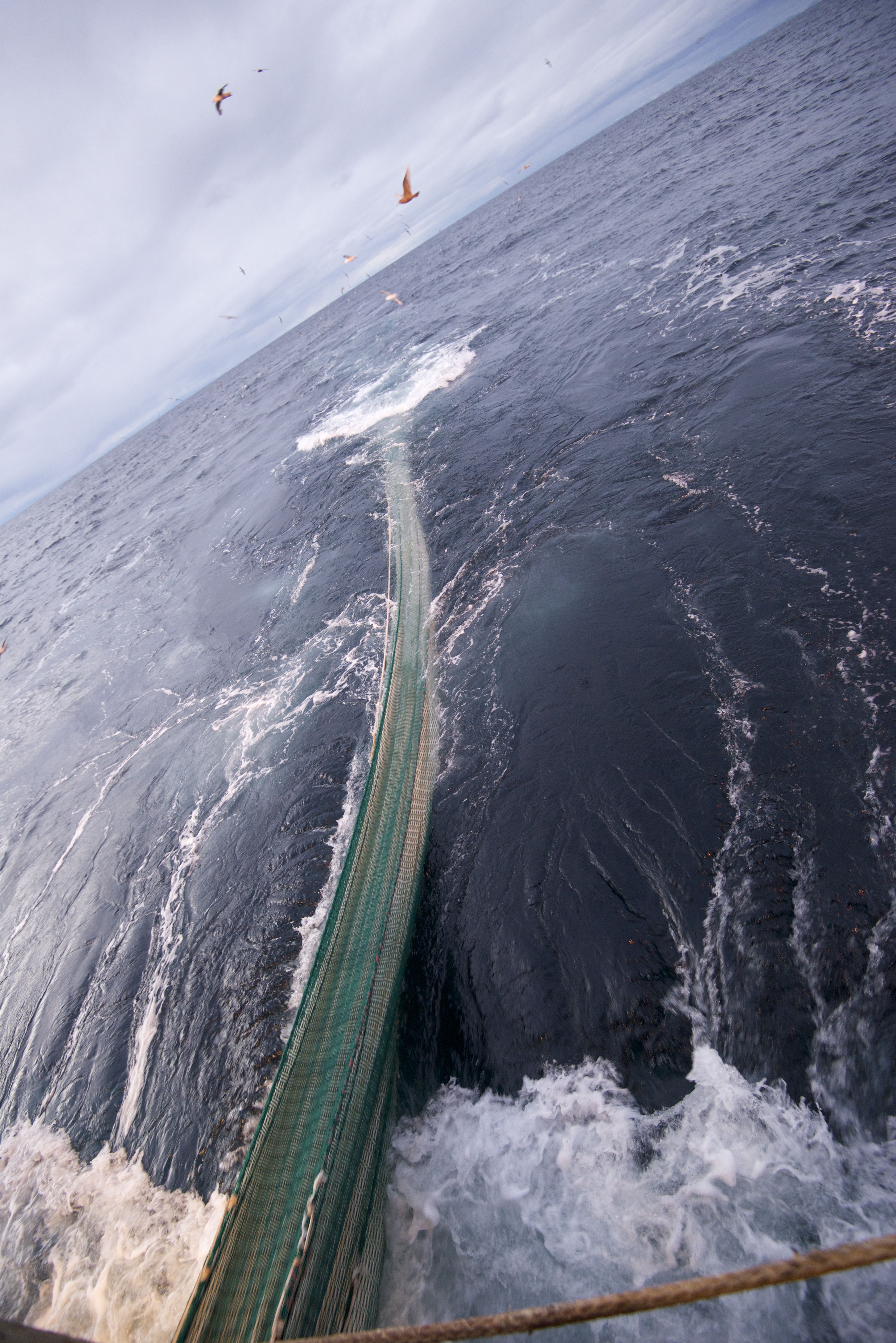 Bilde av sjø og trål tatt fra båt.