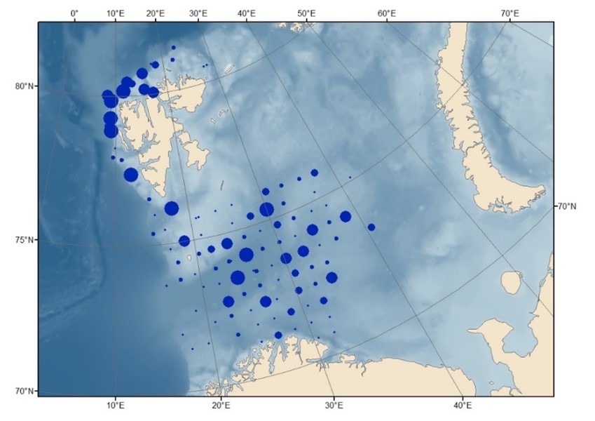 Figur som viser fangster av nullgruppesild registrert på Økosystemtokt i Barentshavet.