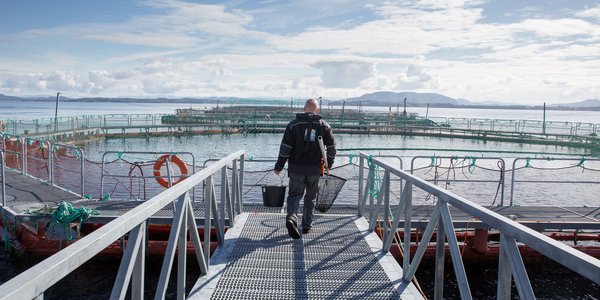 

oppdrettsanlegg ill foto Eivind Senneset