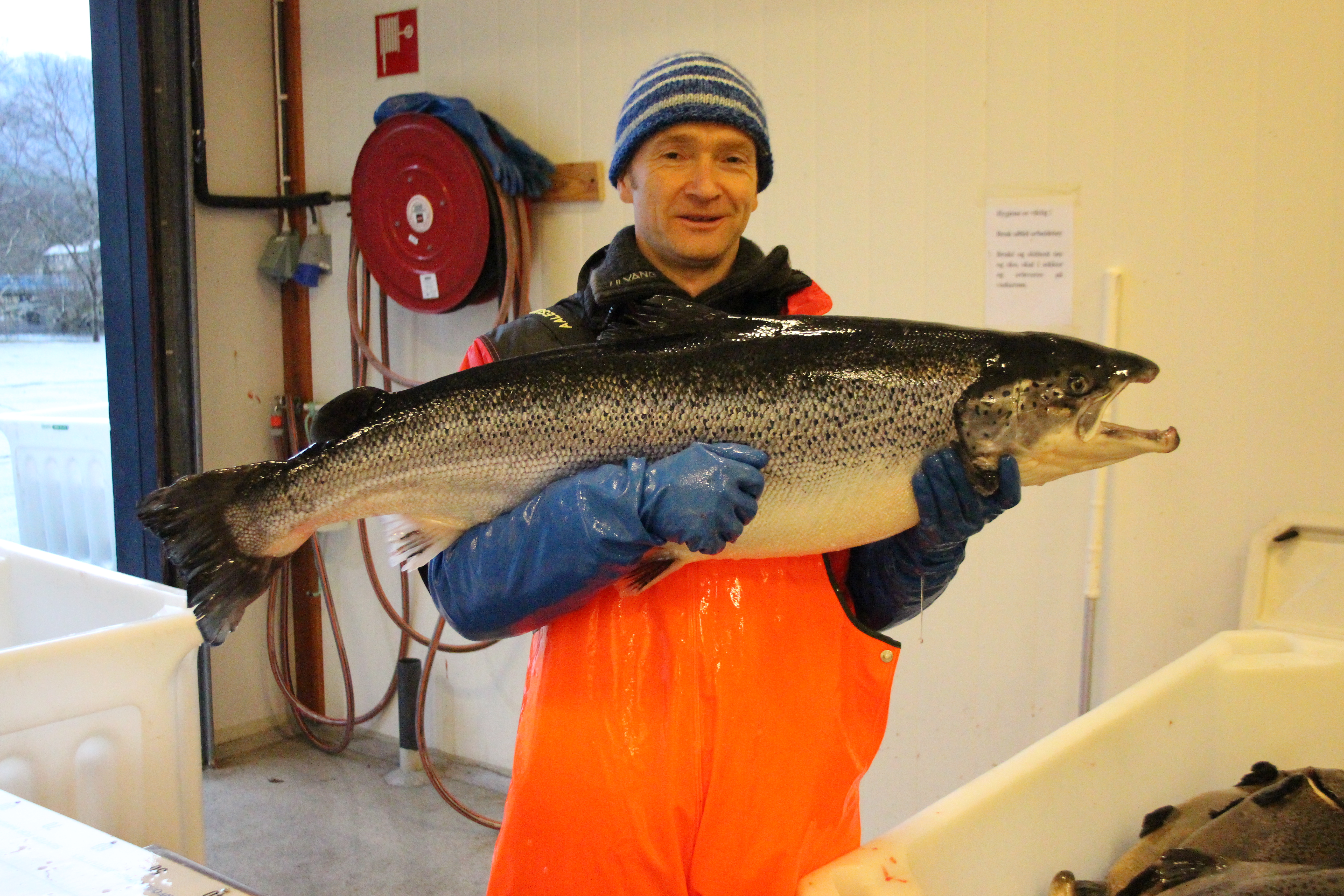 Forsker Per Gunnar Fjelldal med laks