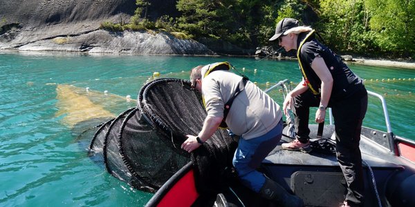 

forsker tar opp ruse