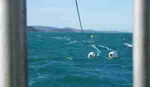 Tråling i Bømlafjorden. 