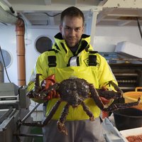 
Fabian og kongekrabbe