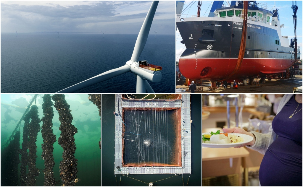 montasje med båter vindmøller og anlegg