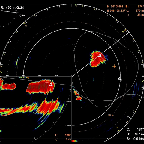 video av en sildestim fra det grafiske grensesnittet til en sonar