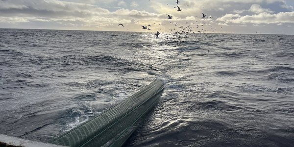 

foto av garnpose i hekken til båt