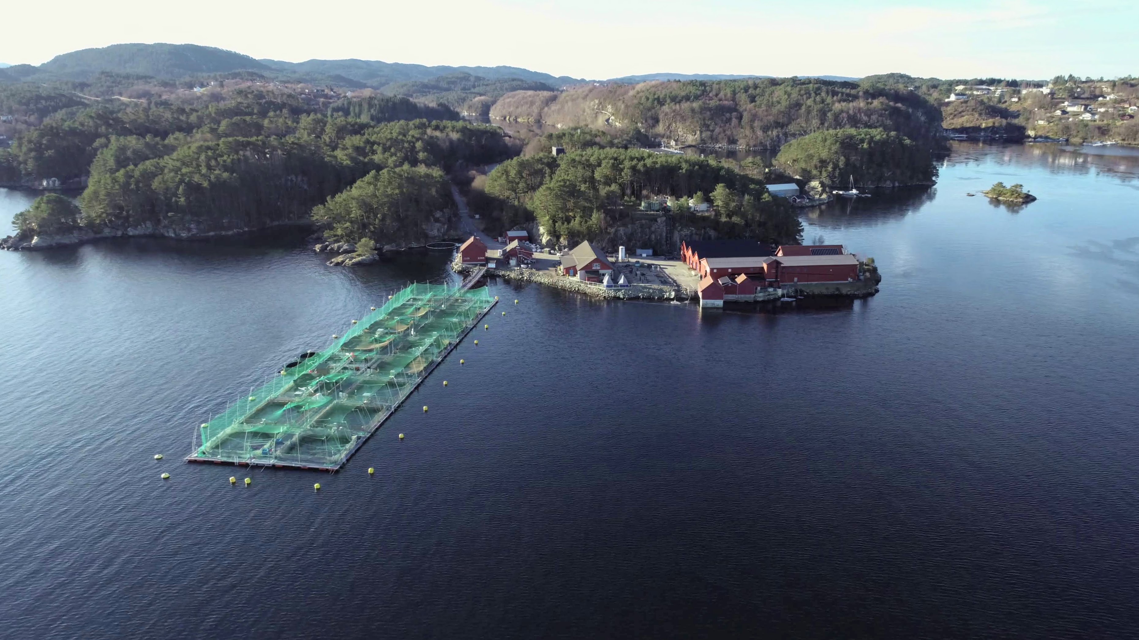 dronefoto av merder i sjø