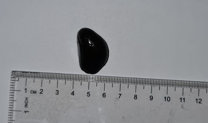 Ei svart perle frå eit kamskjel