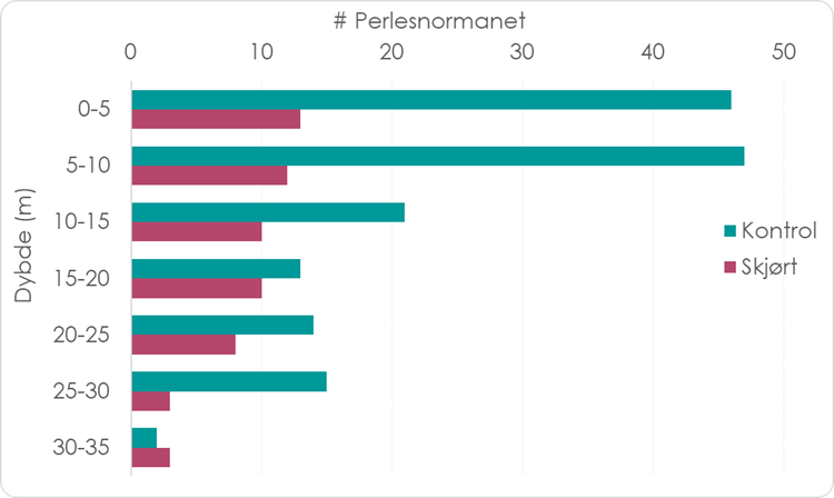 Ein tabell som syner at det er fleire perlesnormanet i merden utan skjørt
