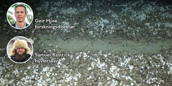 

foto av spor på havbunnen