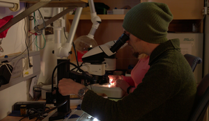 vlcsnap 2019 03 22 08h07m42s510